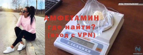 молекула духа Алзамай