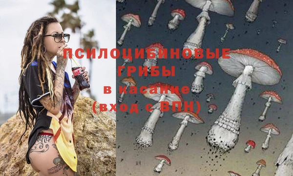 молекула духа Алзамай
