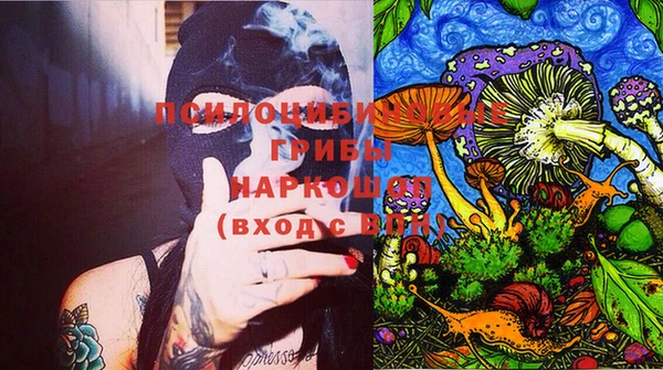 дмт Нягань