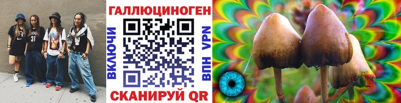 Галлюциногенные грибы Cubensis  MEGA маркетплейс  Щигры 